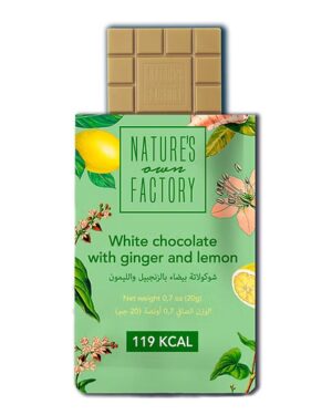White Chocolate with Ginger & Lemon (20g)