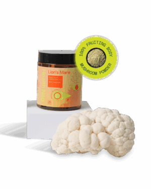 Health Nag Lion's Mane